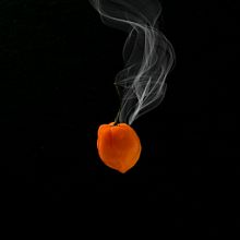 Mi Proyecto del curso: Fotografía para redes sociales: Lifestyle branding en Instagram Ein Projekt aus dem Bereich Digitales Marketing und Fotografische Komposition von Giovanni Hernandez - 24.10.2020