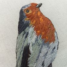 Meu projeto do curso: Pintar com linha: técnicas de ilustração têxtil. Embroider project by Cinthya Necer - 10.25.2020