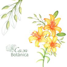 Mi Proyecto del curso: Técnicas aplicadas de ilustración en acuarela . Br, ing și identitate, Ilustrație botanică, Design de model și Pictură în acuarelă de Mariana Rodríguez - 10.25.2020