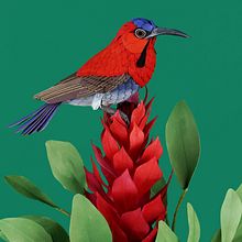 Sunbird scene . Un progetto di 3D, Composizione fotografica, Fotografia, Fotografia artistica, Fotografia di prodotti e Papercraft di Diana Beltran Herrera - 31.10.2020