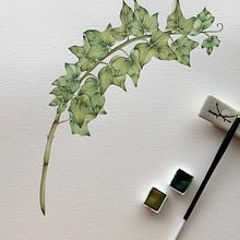 Mi Proyecto del curso: Ilustración botánica con acuarela. Watercolor Painting project by Carla - 10.27.2020