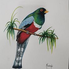 Mi Proyecto del curso: Ilustración naturalista de aves con acuarela . Lukisan proyek oleh Maritza Oviedo - 10.27.2020