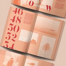 Book design: White Dust. Art Direction, Editorial Design, and Graphic Design project by Comba Studio - 10.27.2020