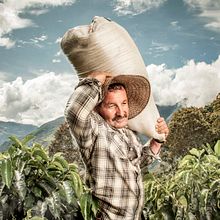 Cafeteros, Juan Valdez. Photograph, Portrait Photograph, Documentar, and Photograph project by Alejandro Osses Saenz - 05.01.2019