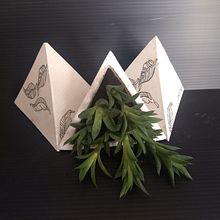 Macetas triangulares Mi Proyecto del curso: Creación de muebles en concreto para principiantes. 3D, 3D Animation, Architecture, Arts, Crafts, Woodworking, Ceramics, Concept Art, Sewing, Creativit, Art Direction, Design, 3D Design, Shoe Design, Furniture Design, Making, Costume Design, Industrial Design, DIY, Set Design, and 3D Modeling project by valeria barcena - 10.27.2020