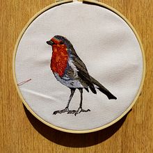 Mi Proyecto del curso: Pintar con hilo: técnicas de ilustración textil. Un proyecto de Bordado de Angelika Villalta Soto - 06.03.2021