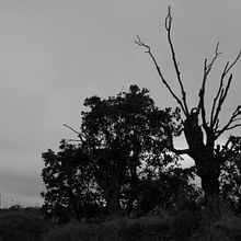 Mi Proyecto del curso: Introducción a la fotografía digital. Projekt z dziedziny Fotografia użytkownika Elena Sánchez - 28.10.2020
