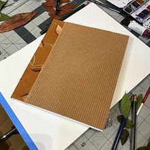 My project in Handmade Binding without Stitches course. Bookbinding project by Susan Singer - 10.29.2020