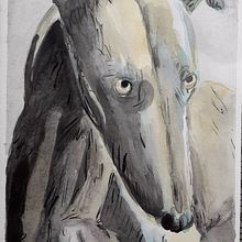 Algunos de los muchos animalitos pintados con las técnicas del curso :). Watercolor Painting project by ncirauqu - 10.30.2020