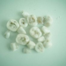 Teeth. Un progetto di Fotografia di Betzabeth Pagán Sotomayor - 31.10.2020