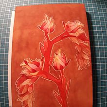 My project in Negative Watercolor Painting for Botanical Illustration course. Un projet de Illustration botanique, Aquarelle et Illustration traditionnelle de Renata Brito - 31.10.2020