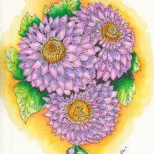 Mi Proyecto del curso: Cuaderno botánico en acuarela. Watercolor Painting project by Yahann Romero - 11.01.2020
