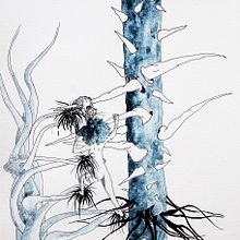 My project in Botanic Animal House: Watercolour, Ink and Graphite course. Projekt z dziedziny Trad, c, jna ilustracja,  Malarstwo,  R, sunek, Malowanie akwarelą, R, sunek botaniczn,  R, sunek atramentem, Ilustracja naturalist i czna użytkownika chiquitin - 01.11.2020