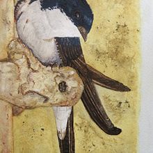 Mi Proyecto del curso: Ilustración naturalista de aves con acuarela. Watercolor Painting project by antoniomlp - 11.02.2020