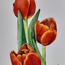Tulipanes en acuarela. Un progetto di Illustrazione tradizionale, Illustrazione botanica e Pittura ad acquerello di Anna Arilla Nogueras - 02.11.2020