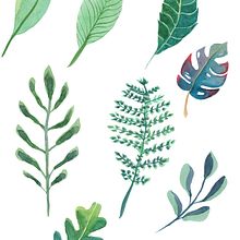 feuilles aquarelle exercice. Un proyecto de Dibujo de Charlott' Escudero - 02.11.2020