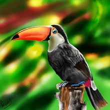 Toucan. Digital Drawing, and Digital Painting project by Biswajit Pattanayak - 11.02.2020
