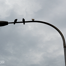 Old Town of Ipoh - Street . Un proyecto de Arquitectura de Nur Hisham - 03.11.2020