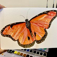 Monarca. Un progetto di Pittura ad acquerello di Martha Morales Hernandez - 04.11.2020