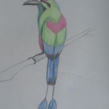 Mi Proyecto del curso: De principiante a superdibujante. Drawing project by Rossy Merino - 11.04.2020
