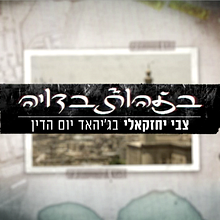 Flase Identity - TV Title Sequence Ein Projekt aus dem Bereich 2-D-Animation, Kino, Video und TV, Bildbearbeitung, VFX und Videobearbeitung von Nadav Rosenbloom - 01.01.2018