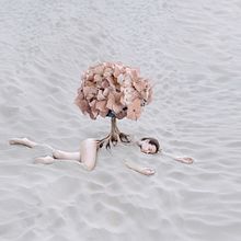 oasis of creativity - Adobe . Fotografi Digital, Dan Fotografi Seni Rupa proyek oleh Laura Zalenga - 04.25.2019