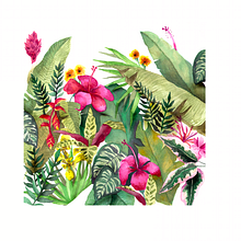 LOVE GROWS IN NATURE. Un proyecto de Ilustración tradicional, Ilustración botánica, Pintura a la acuarela y Publicidad de Paulina Maciel · Canela - 08.11.2020