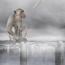 Mi Proyecto del curso: Fotomontaje surrealista con Photoshop . Photomontage project by Sebastián González - 11.09.2020