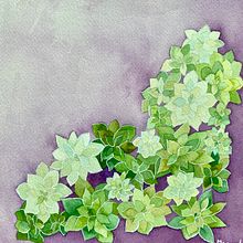 My project in Negative Watercolor Painting for Botanical Illustration course. Un progetto di Pittura ad acquerello di Martha Morales Hernandez - 09.11.2020