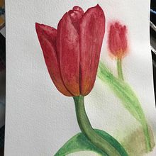 Mi Proyecto del curso: Ilustración botánica con acuarela. Watercolor Painting project by Lily Portius Yáñez - 12.06.2020