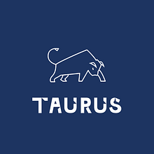 Taurus - Fintech App. Un progetto di Br, ing, Br, identit, Design di loghi, Progettazione di applicazioni e Web design di Guilherme Ribeiro - 01.10.2020