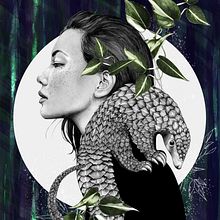 Plight of the Pangolin Illustration. Un proyecto de Dibujo digital, Ilustración digital, Ilustración tradicional y Dibujo de Retrato de Amy Pearson - 10.11.2020