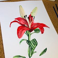 Mi Proyecto del curso: Ilustración botánica con acuarela. Un proyecto de Diseño de XIMENA GONZALEZ - 11.11.2020
