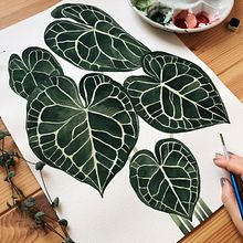 The colors of houseplants. Traditional illustration, Botanical Illustration, Painting, and Watercolor Painting project by Isabela F - 11.10.2020