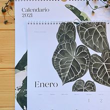 Calendario 2021. Un proyecto de Dibujo, Diseño, Ilustración tradicional, Ilustración botánica, Papercraft, Pintura y Pintura a la acuarela de Isabela Quintes - 10.11.2020