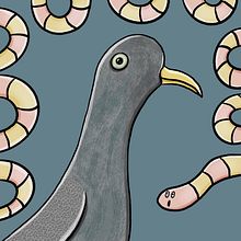 Pigeon. Un progetto di Illustrazione tradizionale di Ania Krzymowska - 11.11.2020