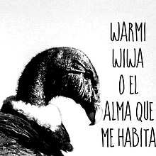 WARMI WIWA (proyecto de animación) . % diana quindei tarafından hazırlanan Animas, Ve on projesi - 11.12.2020