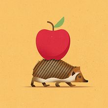 DM sustainability campaign. Un progetto di Illustrazione digitale e Illustrazione tradizionale di Dieter Braun - 12.11.2018