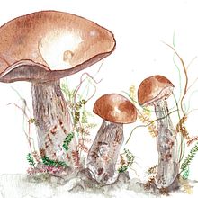 Mi Proyecto del curso: Ilustración en acuarela con influencia japonesa. Un proyecto de Diseño gráfico e Ilustración botánica de Carme Farrerons - 13.11.2020