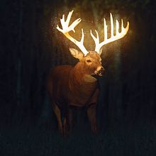Magic Reindeer. Creativit, and Photomontage project by William Adams - 11.14.2020
