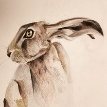My project in Experimental Watercolor Techniques for Beginners course. 3D projeto de zerobyzero - 14.11.2020