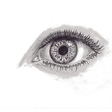 Pencil Drawings . Drawing project by Kevin Walsh - 11.16.2020