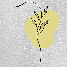 Mi Proyecto del curso: Filtros animados en 2D para Instagram . % Noemi Amorin Garcia tarafından hazırlanan Grafik Tasarım, Geleneksel illüstras, on, Instagram & Instagram Pazarlaması projesi - 11.15.2020