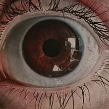 Ojo. Un progetto di Belle arti e Disegno realistico di Adrián Durá Reina - 05.09.2020