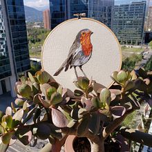 Mi Proyecto del curso: Pintar con hilo: técnicas de ilustración textil. Embroider project by cotecor - 11.17.2020