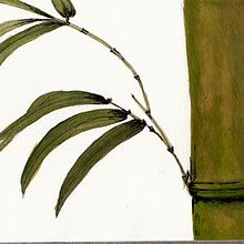 Cuaderno botánico en acuarela. Traditional illustration, and Botanical Illustration project by Regina von Reitzenstein - 11.18.2020
