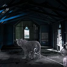 Mi Proyecto del curso: La visita del felino. Graphic Design, and Photomontage project by Jorge Camelio Barria - 11.18.2020
