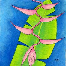 Plantas. Botanical Illustration project by Marinês Eiterer - 11.18.2020