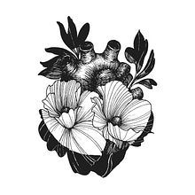 Corazones. Een project van  Tekening y Traditionele illustratie van Héctor López - 01.01.2020