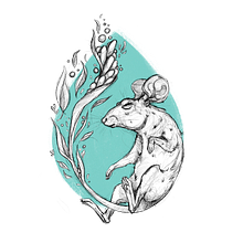 Animal sketches. Un projet de Illustration traditionnelle, Illustration à l'encre, Carnet de croquis , et Esquisse  de Dasha - 20.11.2019
